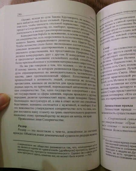 Активизация работы энергетических центров человека. На пороге просветления — Надежда Домашева-Самойленко (3)