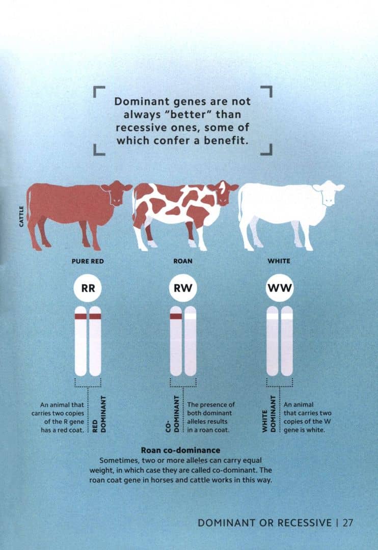 Simply Genetics (3)