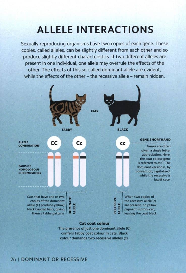 Simply Genetics (2)