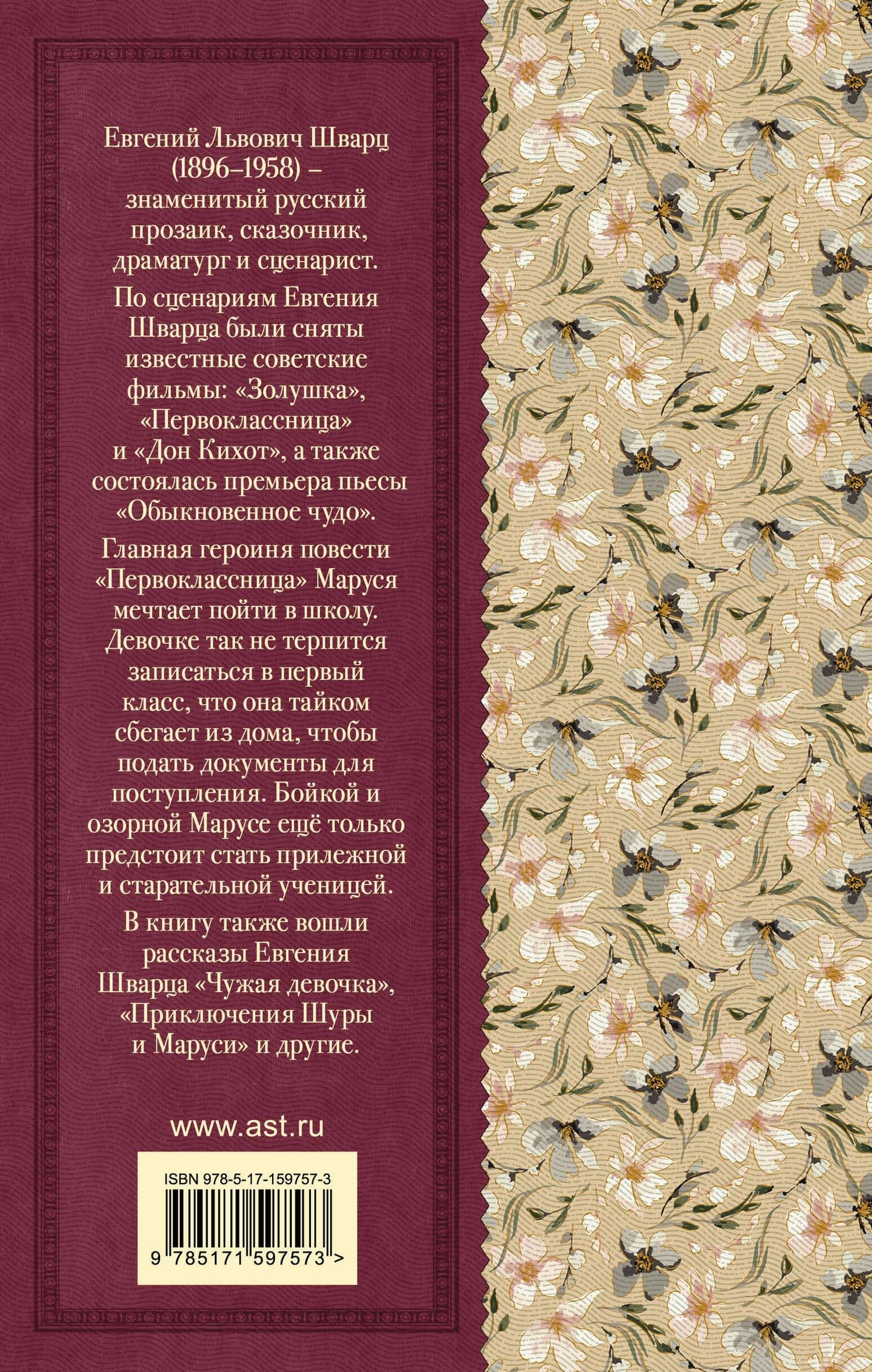 Первоклассница. Рассказы — Шварц Евгений Львович (2)