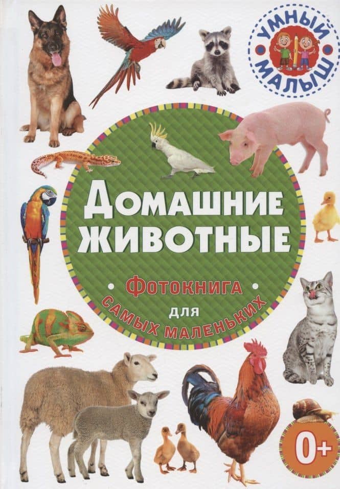 Домашние животные. Фотокнига для самых маленьких