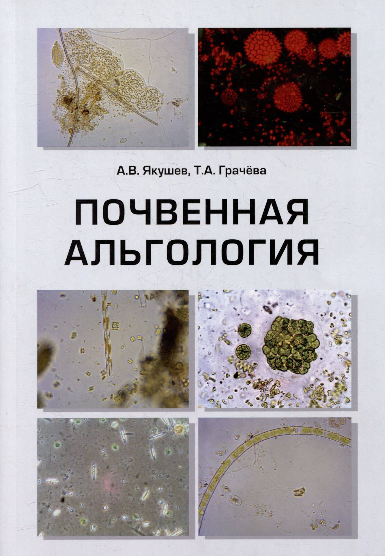 Почвенная альгология: Учебное пособие к курсу лекций и практическим занятиям "Почвенные водоросли" — Татьяна Александровна Грачева