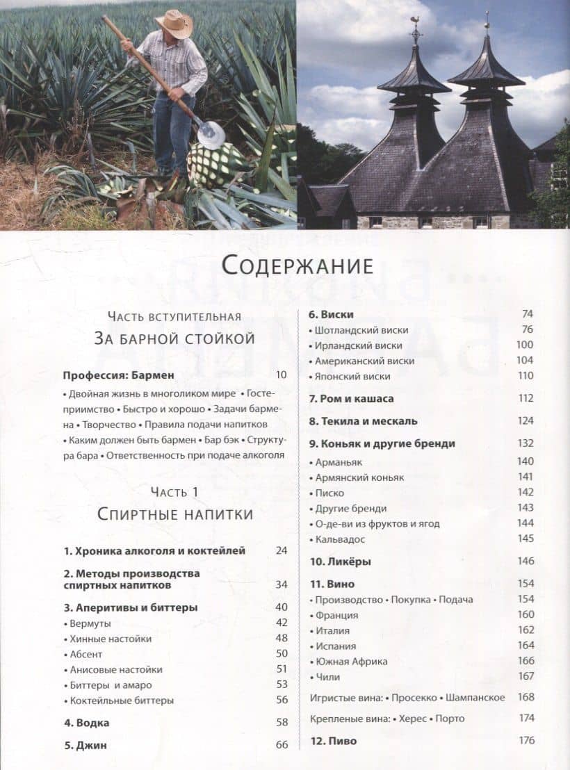 Библия бармена — Федор Евсевский (2)