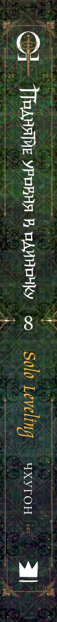 Поднятие уровня в одиночку. Книга 8 (Solo Leveling). Новелла — Чхугон (3)