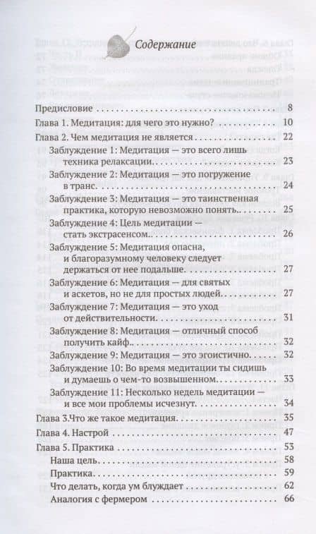 Осознанность простыми словами — Бханте Хенепола Гунаратана (2)