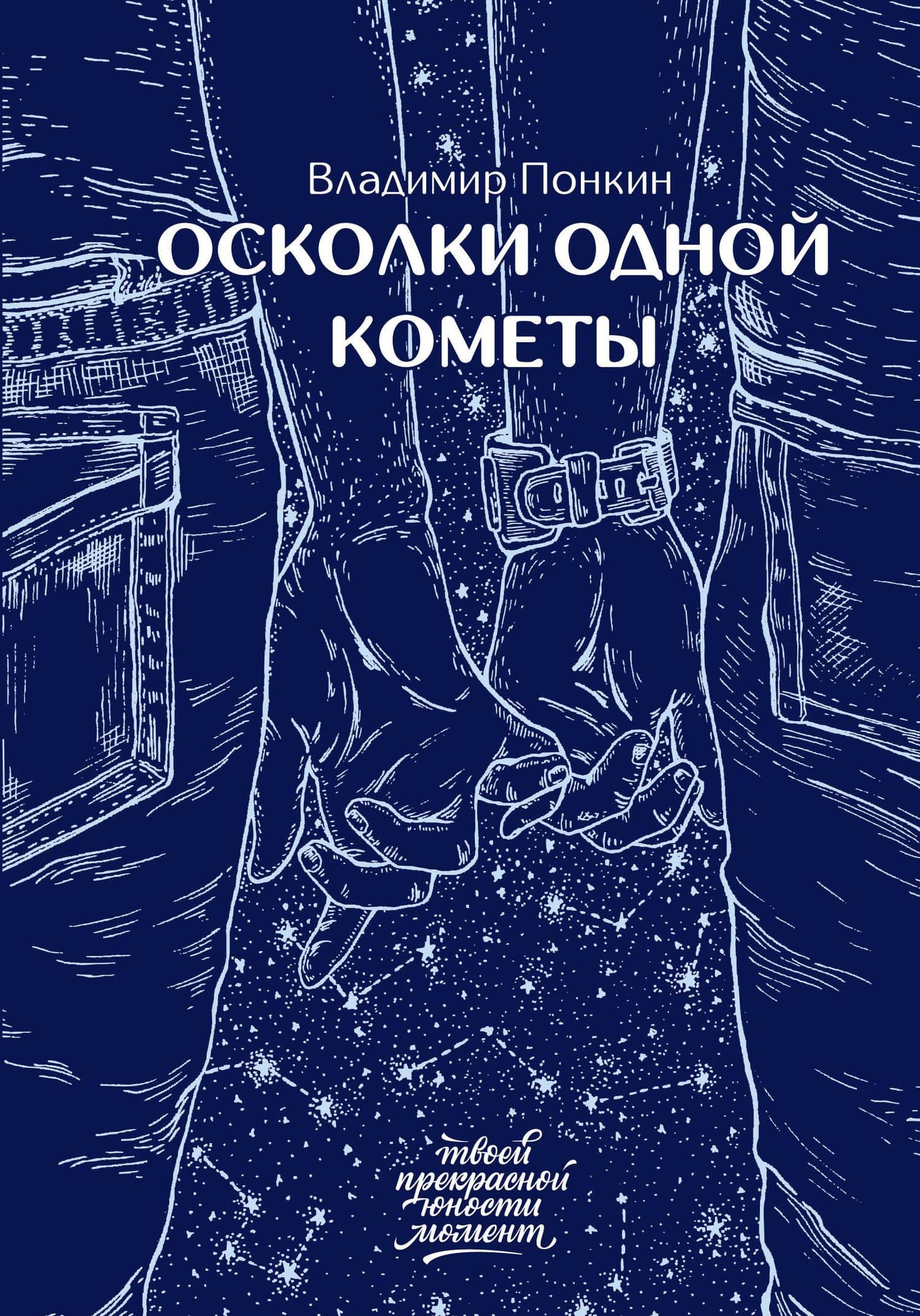 Осколки одной кометы — Владимир Понкин