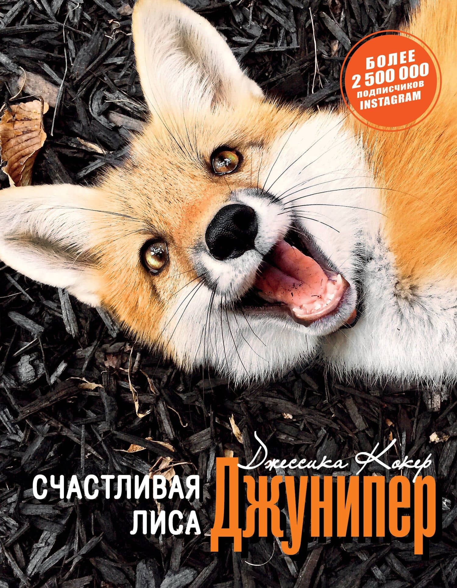 Счастливая лиса Джунипер — Джессика Кокер