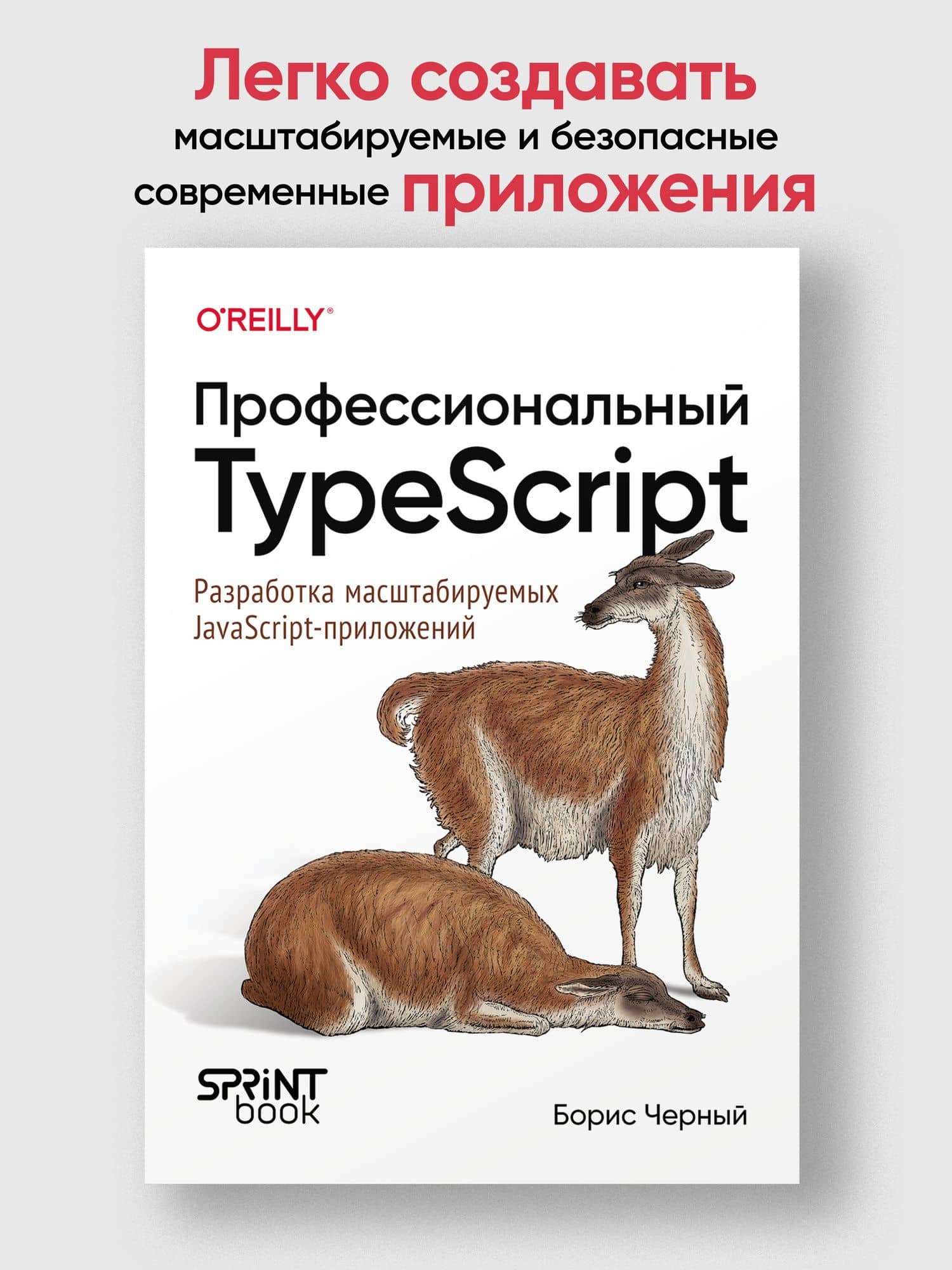 Профессиональный TypeScript. Разработка масштабируемых JavaScript-приложений — Борис Черный (3)