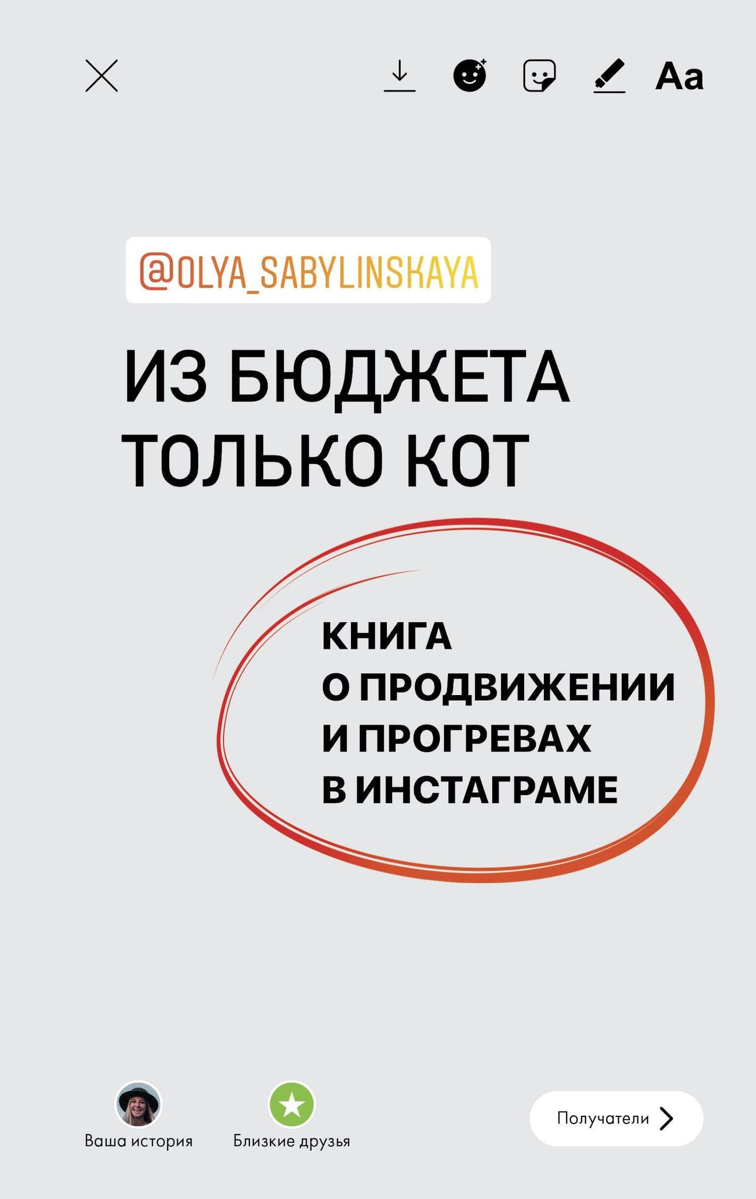 Из бюджета только кот. Книга о продвижении и прогревах в инстаграме — Сабылинская Оля