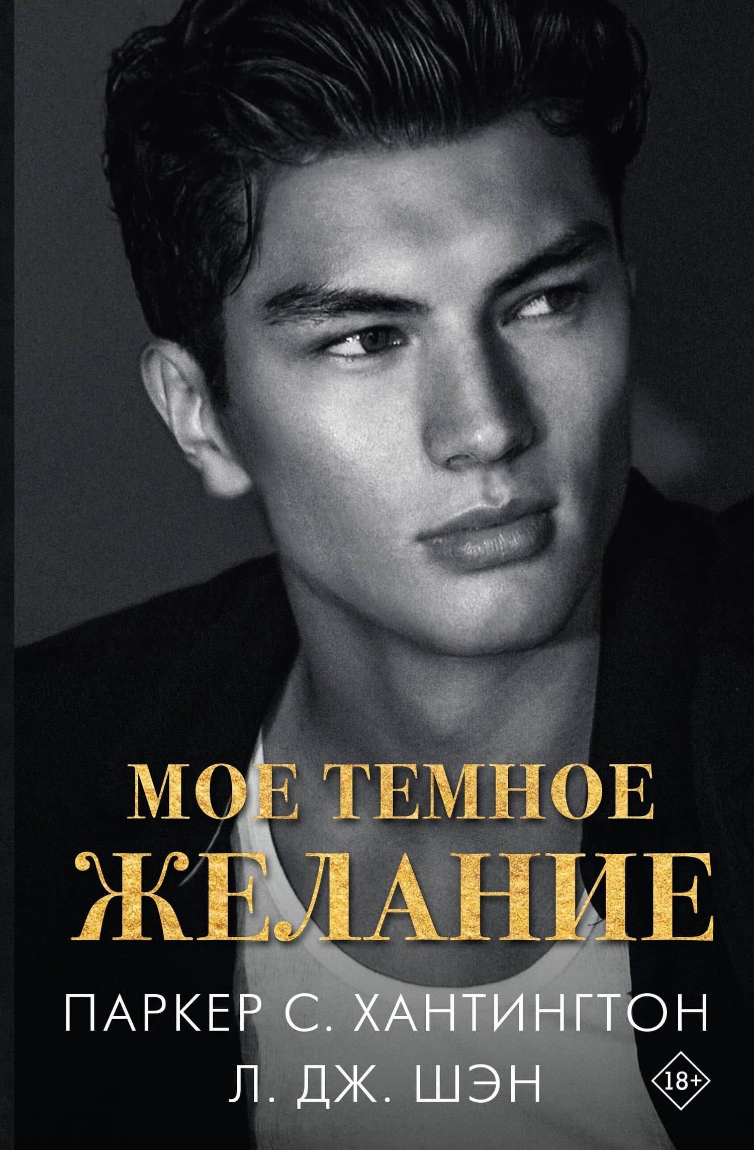 Мое темное желание — Л.Дж. Шэн