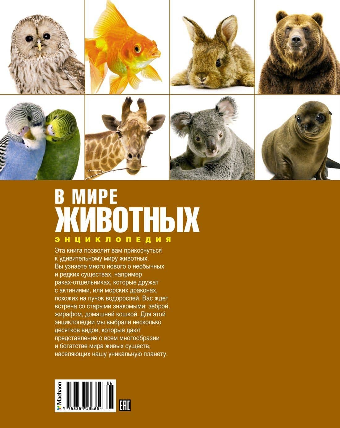 В мире животных — Фулко Пратези (2)