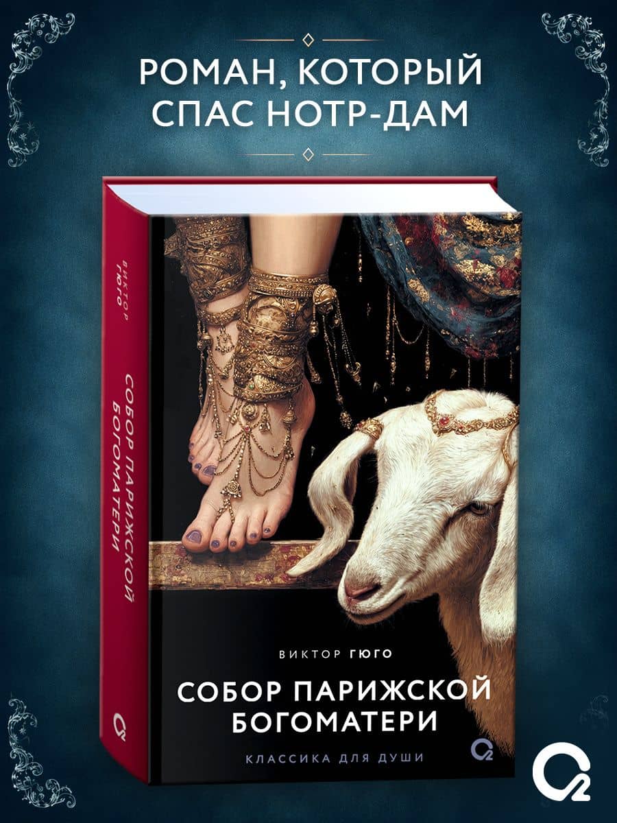 Собор Парижской Богоматери: роман — Виктор Мари Гюго (3)