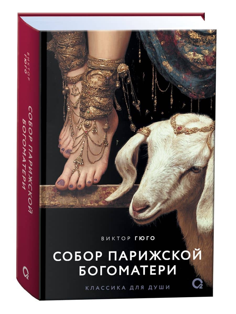 Собор Парижской Богоматери: роман — Виктор Мари Гюго (2)