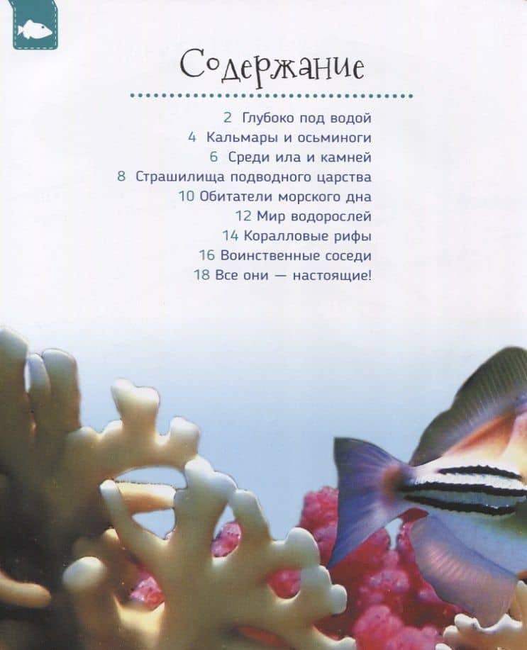 Подводный мир (Первая энциклопедия) — Светлана Николаевна Гальцева (2)