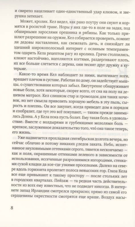 Искатель. — Тана Френч (3)