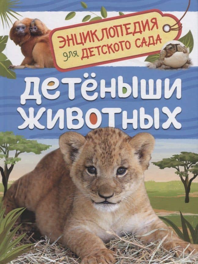 Детеныши животных — Лариса Клюшник