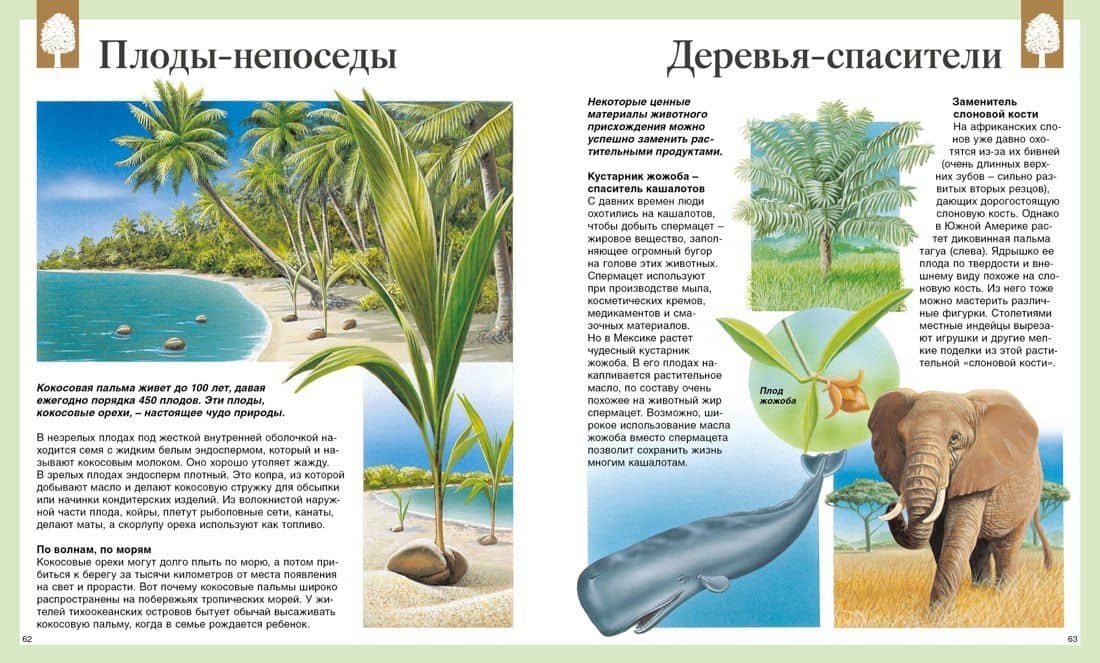 Детская энциклопедия. 250 чудес света — Анна Борисовна Васильева (3)