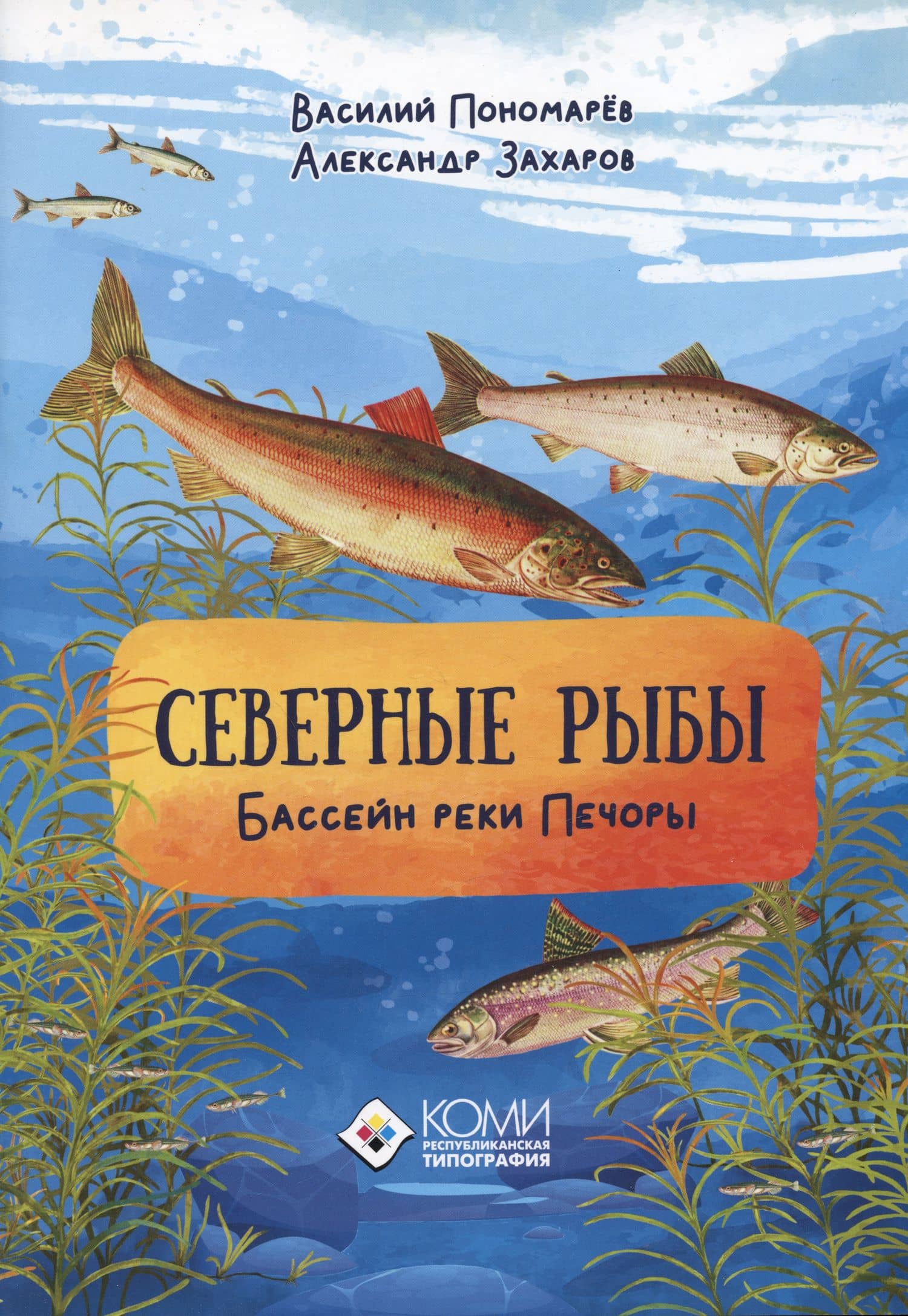 Обложка книги