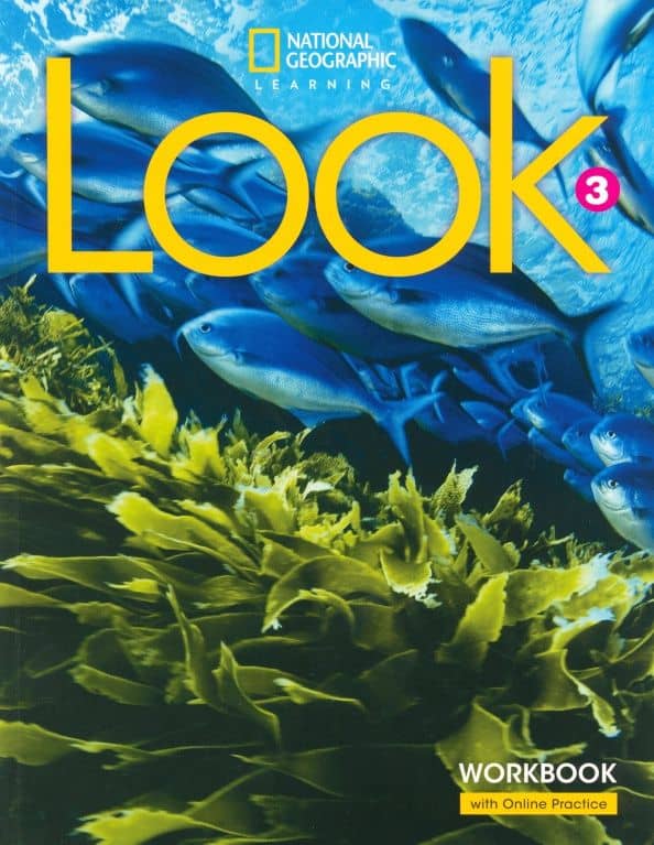 Look. Level 3. Workbook with Online Practice