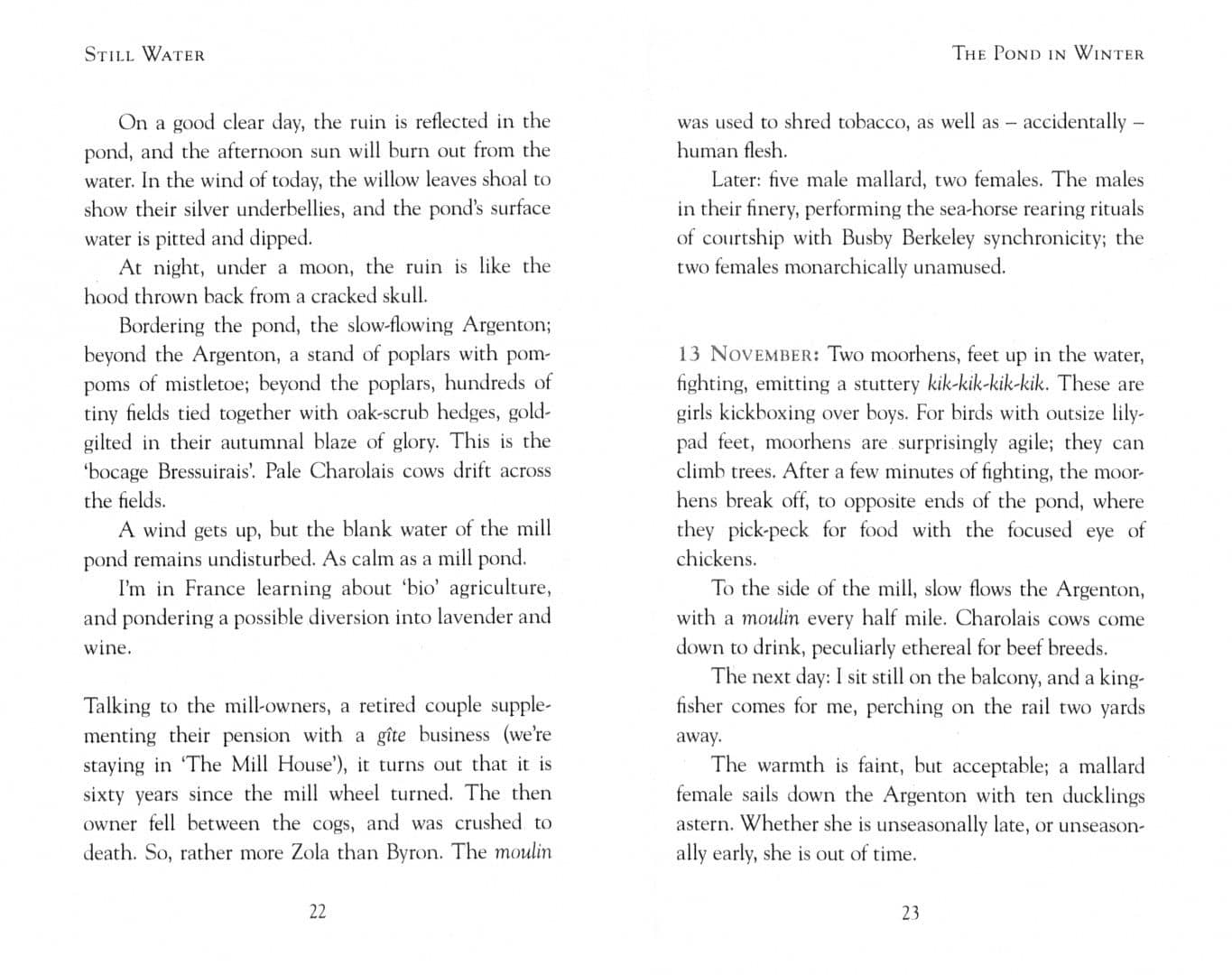 Still Water. The Deep Life of the Pond — John Lewis-Stempel (2)