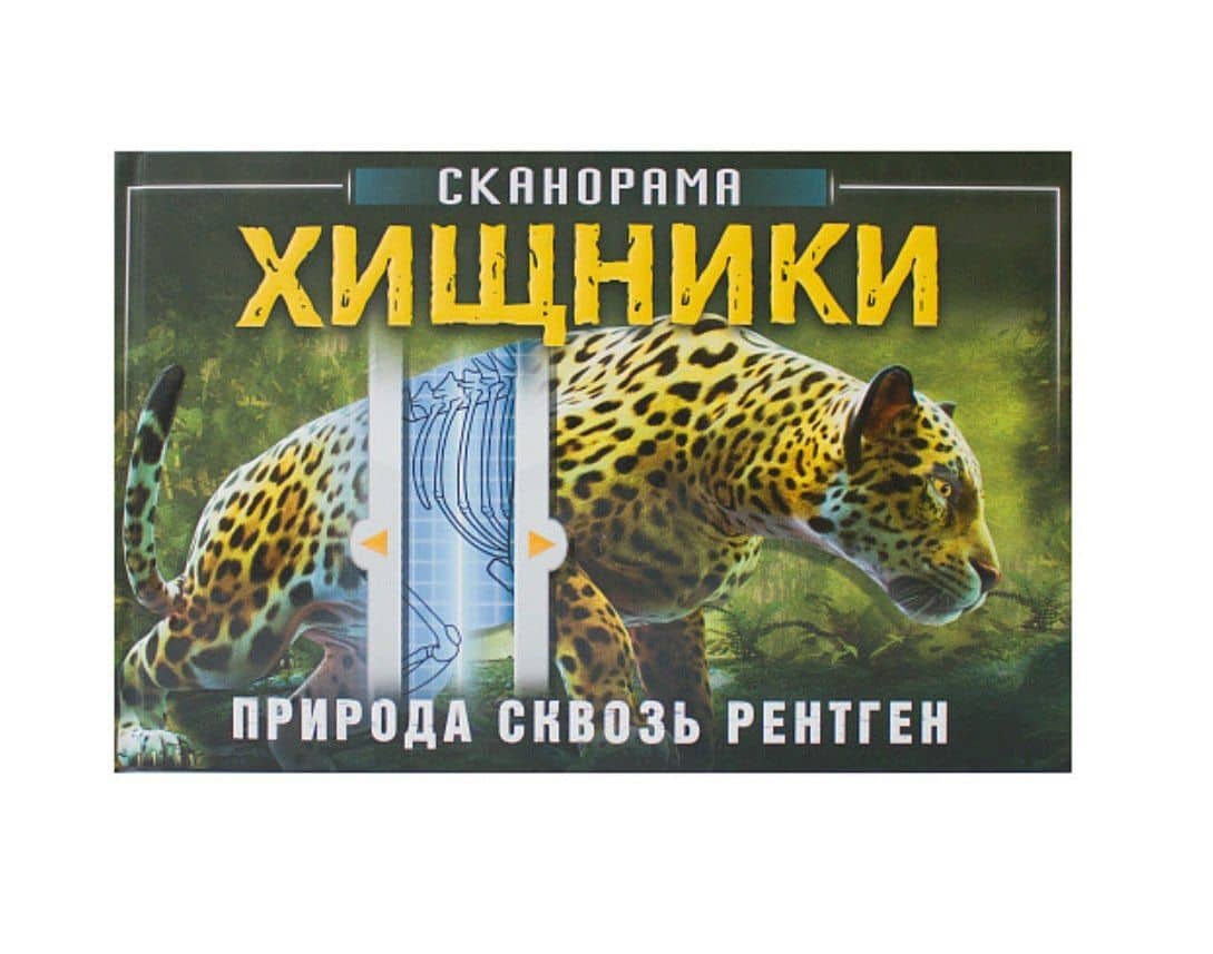 Хищник — Анна Клейбурн