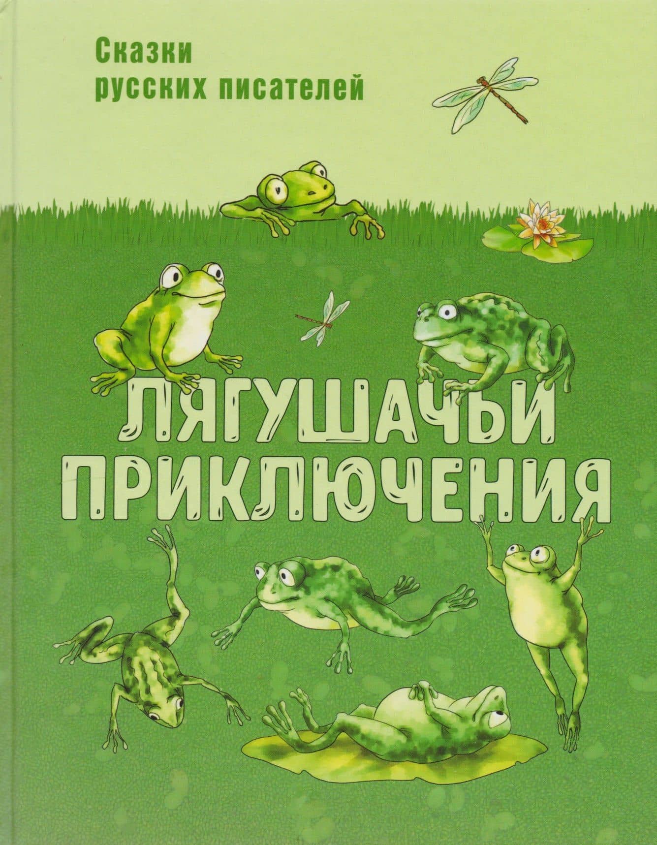 Лягушачьи приключения: сказки русских писателей — Всеволод Михайлович Гаршин