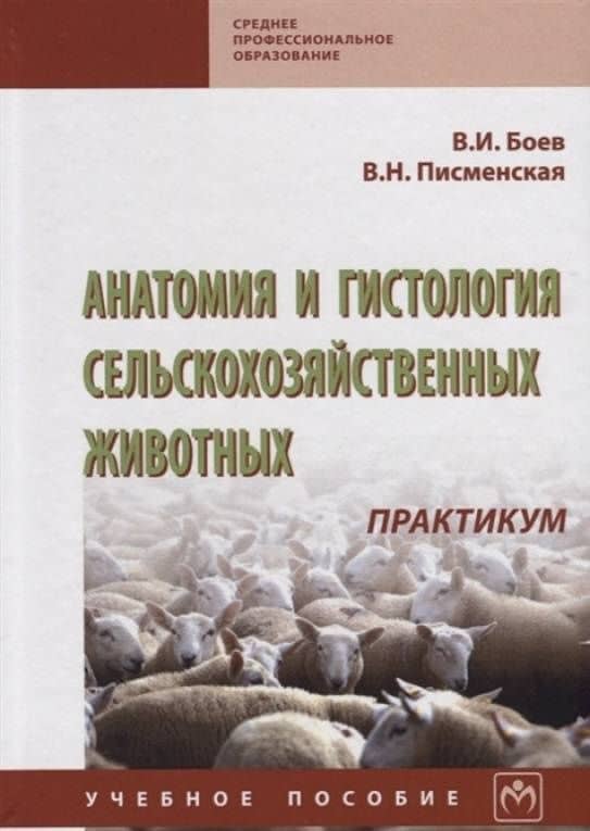 Анатомия и гистология сельскохозяйственных животных. Практикум. Учебное пособие — Валентина Николаевна Писменская (3)