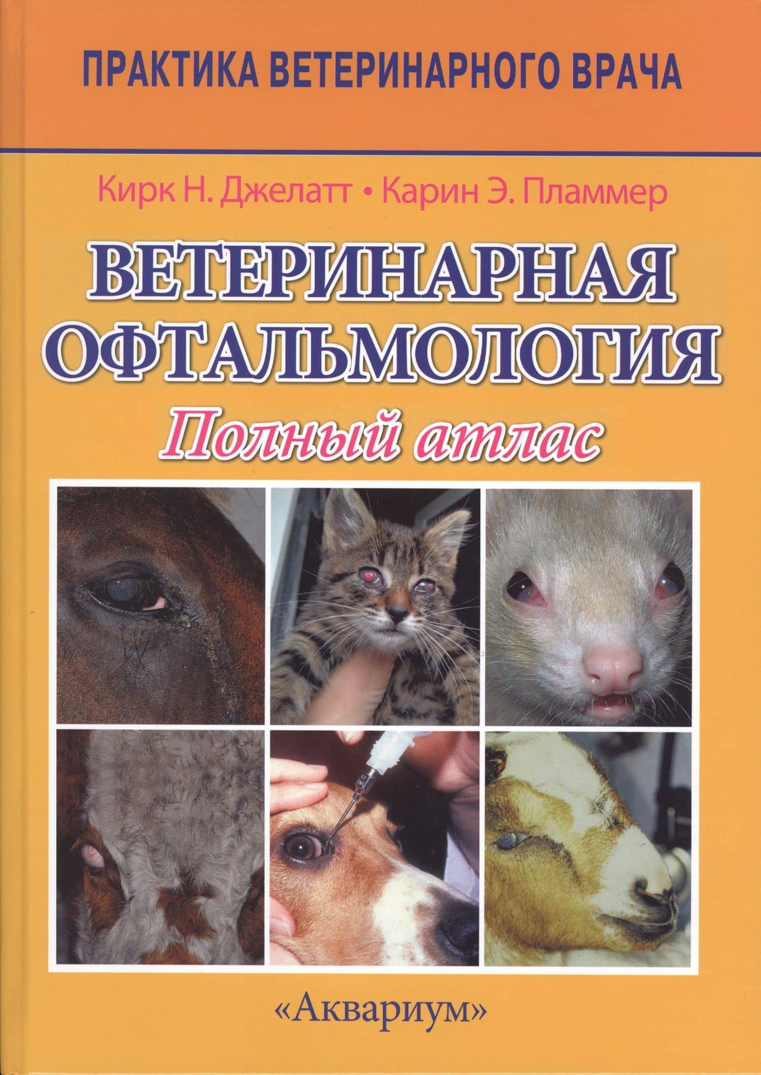Ветеринарная офтальмология. Полный атлас