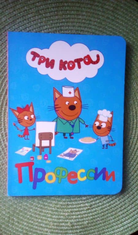 Профессии — Анна Михайловна Купырина (3)