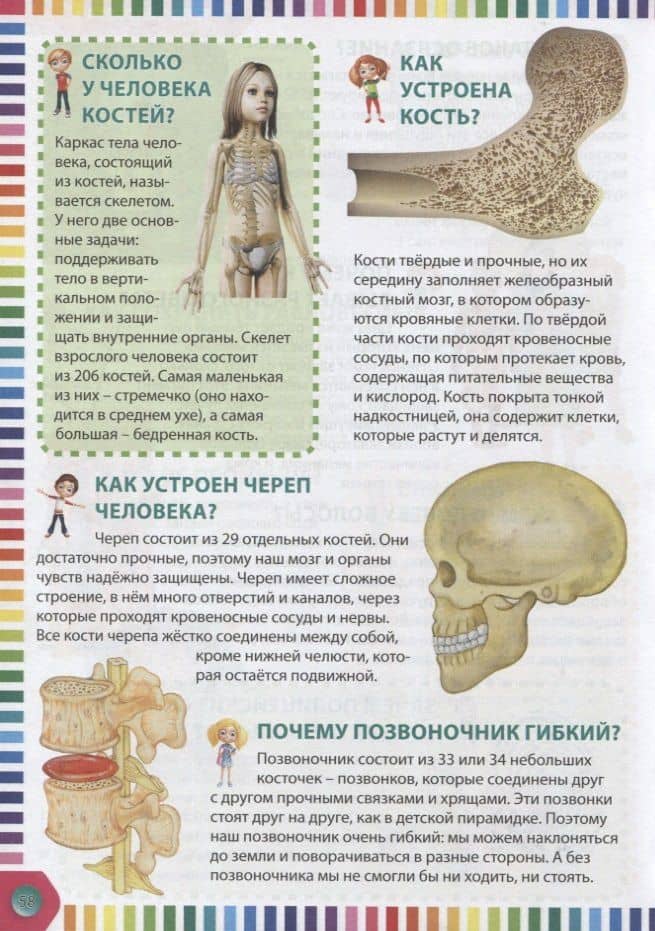 Первая энциклопедия. Первая энциклопедия в вопросах и ответах (3)