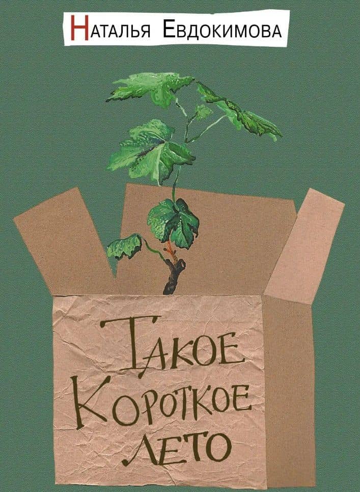 Такое короткое лето: рассказы-мотыльки — Наталья Николаевна Евдокимова