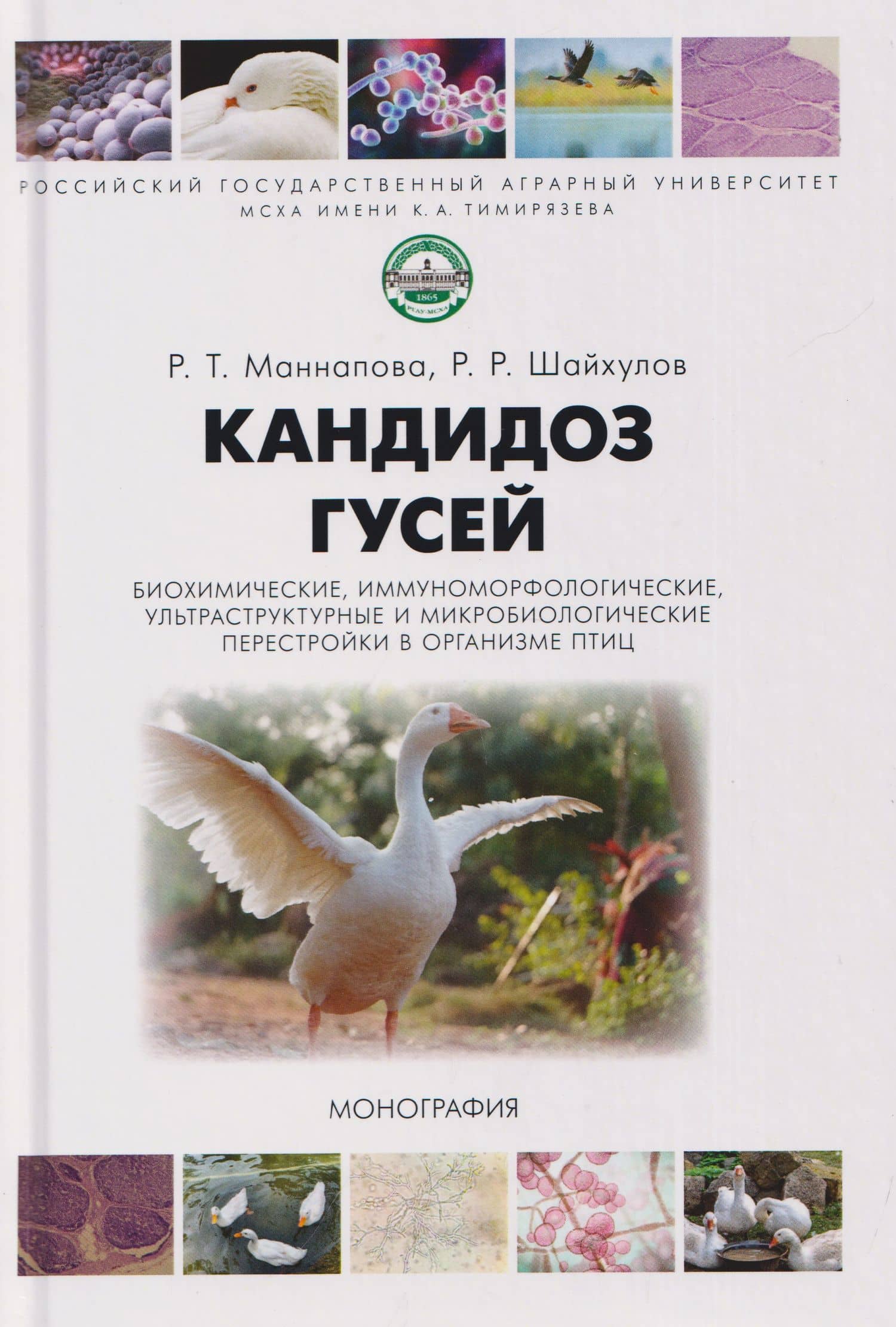 Кандидоз гусей (биохимические, иммуноморфологические, ультраструктурные и микробиологические перестройки в организме птиц). Монография — Рамзия Тимергалеевна Маннапова