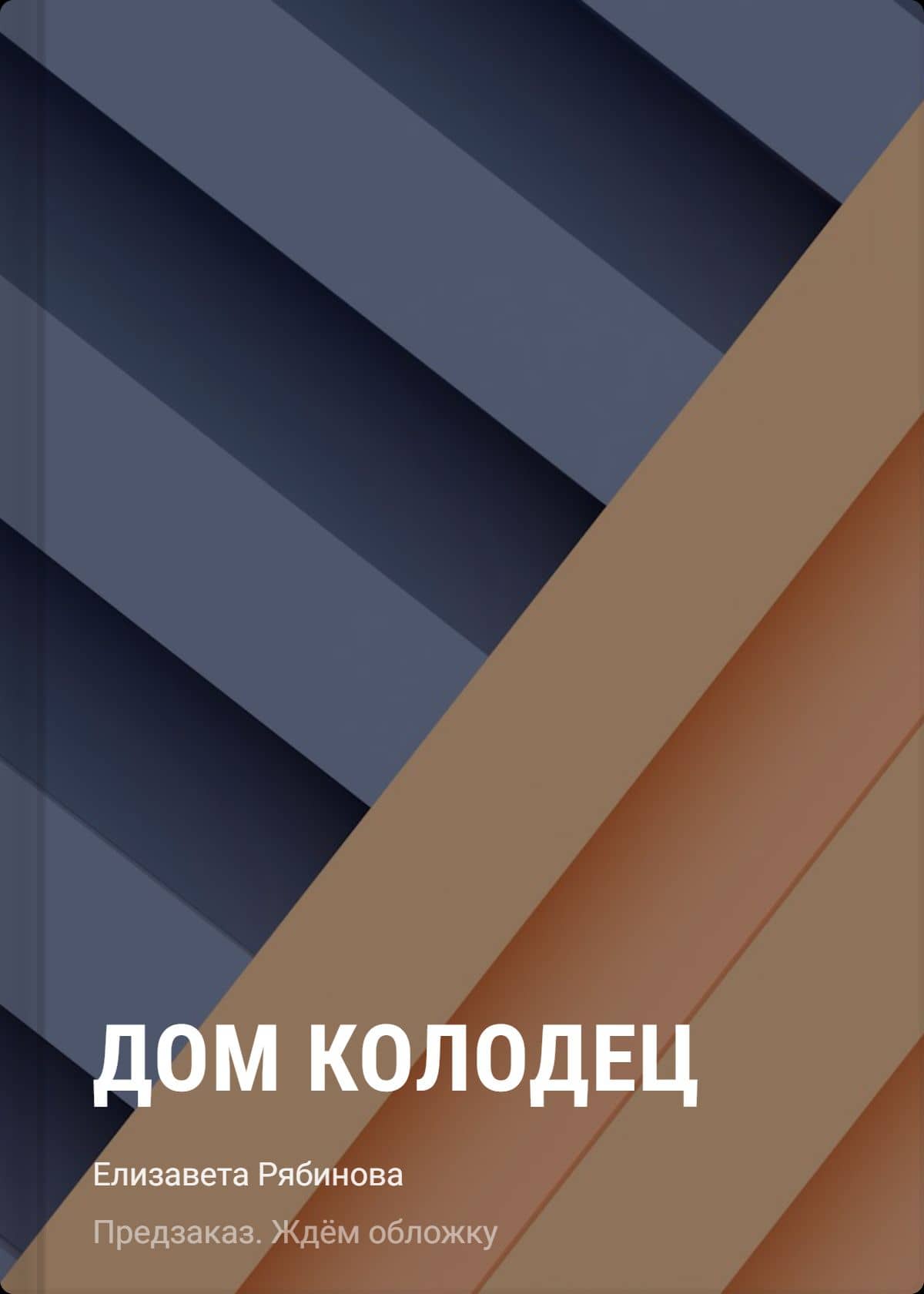 Дом-колодец — Елизавета Рябинова