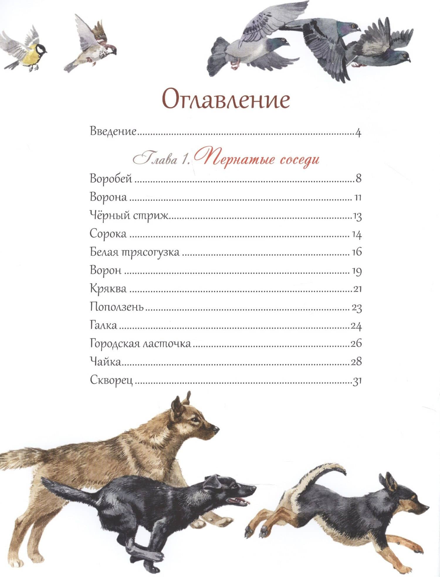 Животный мир городов — Маша В. Шебеко (2)