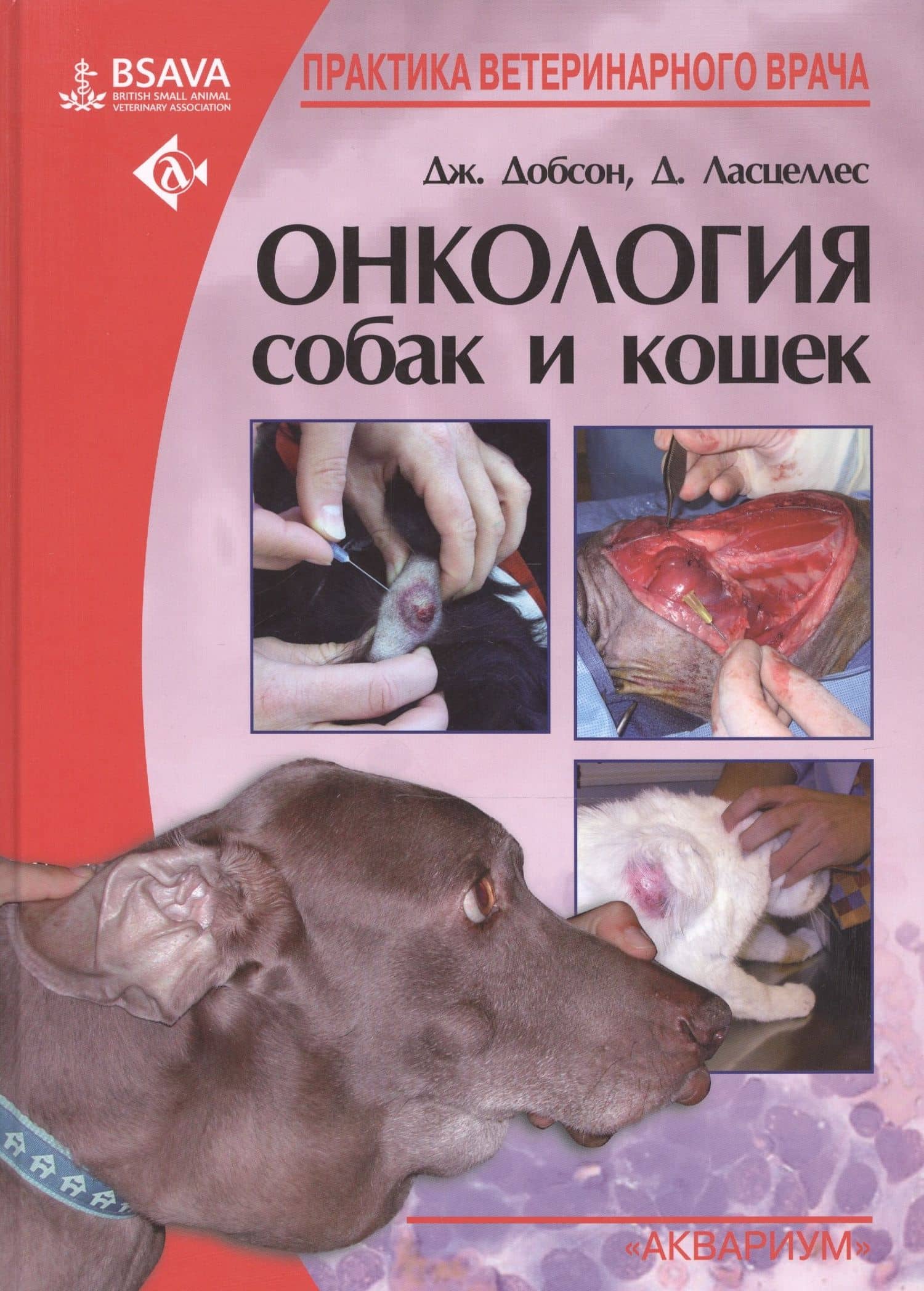 Онкология собак и кошек