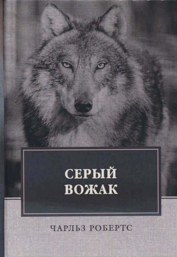 Серый вожак