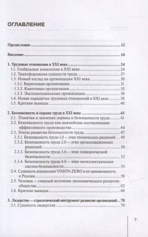 Безопасность и экономика труда: актуальные проблемы решения: монография — Серик Абзалович Мажкенов (2)
