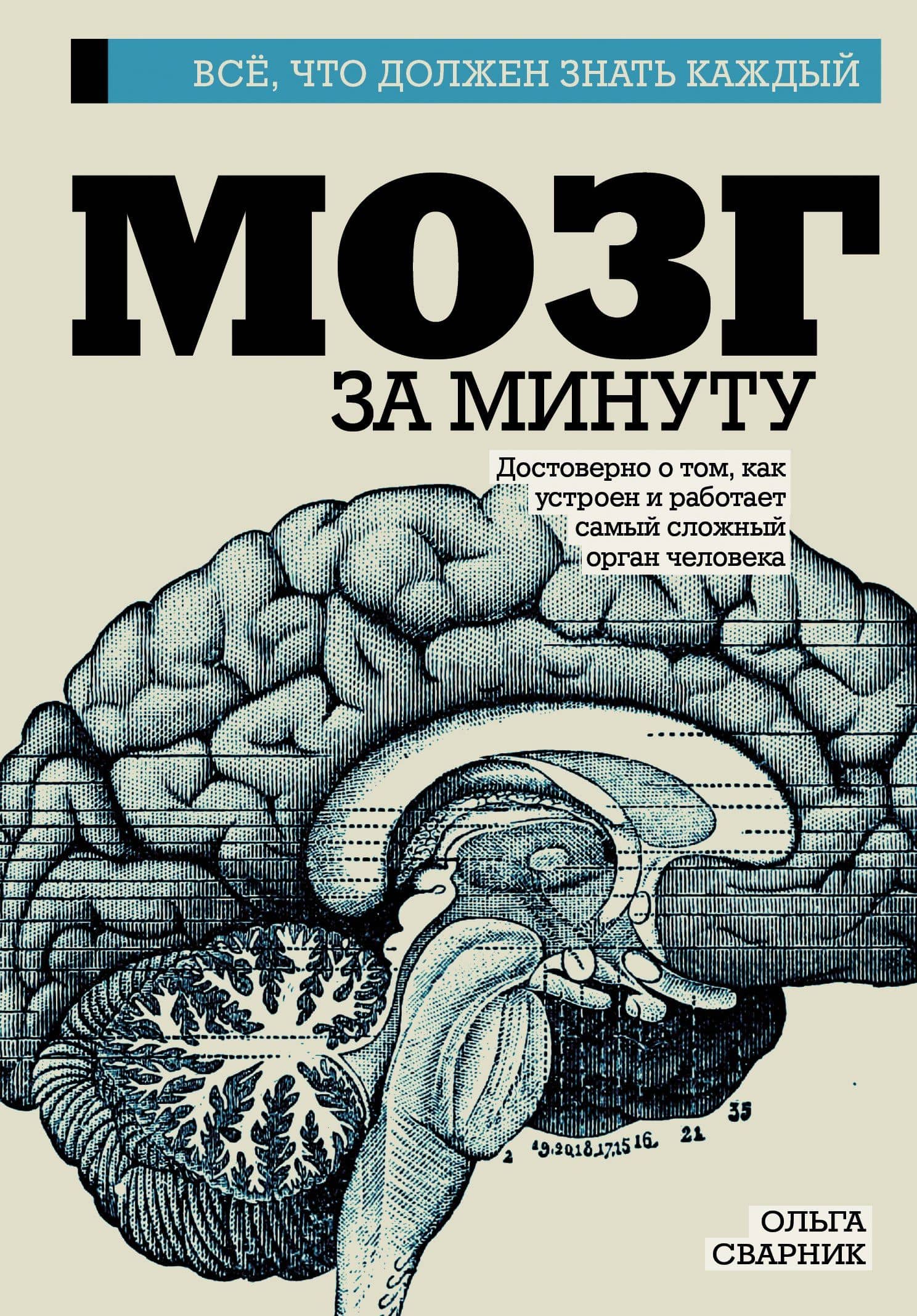 Мозг за минуту — Ольга Сварник