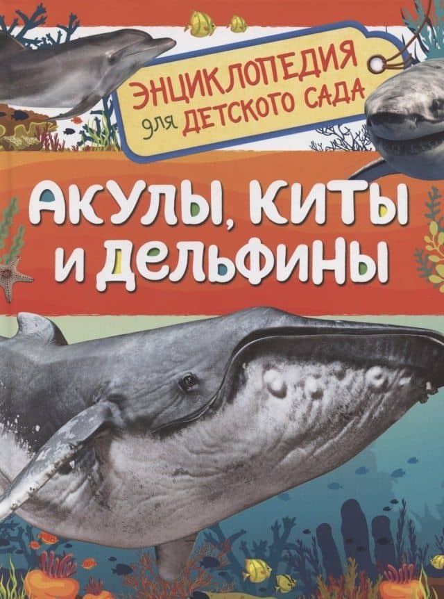 Акулы, киты и дельфины. Энциклопедия для детского сада — Попова Л.А.