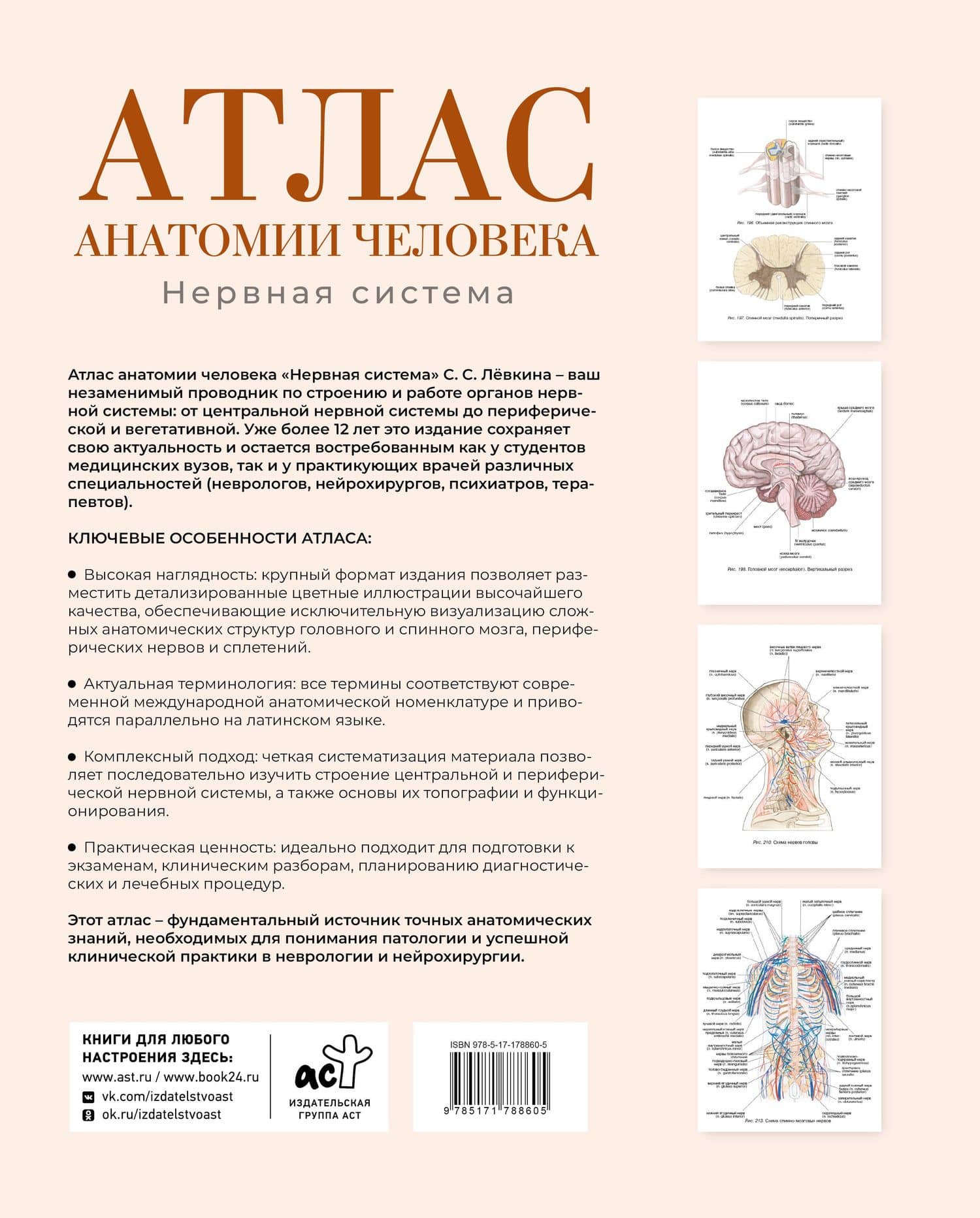 Атлас анатомии человека. Нервная система — Сергей Сергеевич Левкин (2)