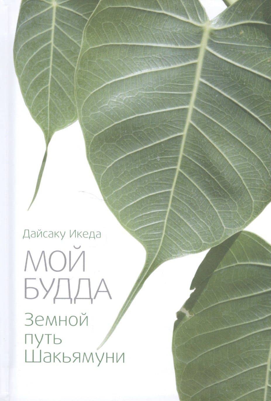 Мой Будда. Земной путь Шакьямуни