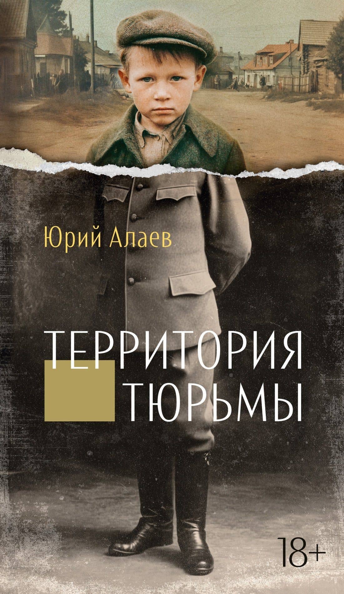 Территория тюрьмы — Юрий Прокопьевич Алаев