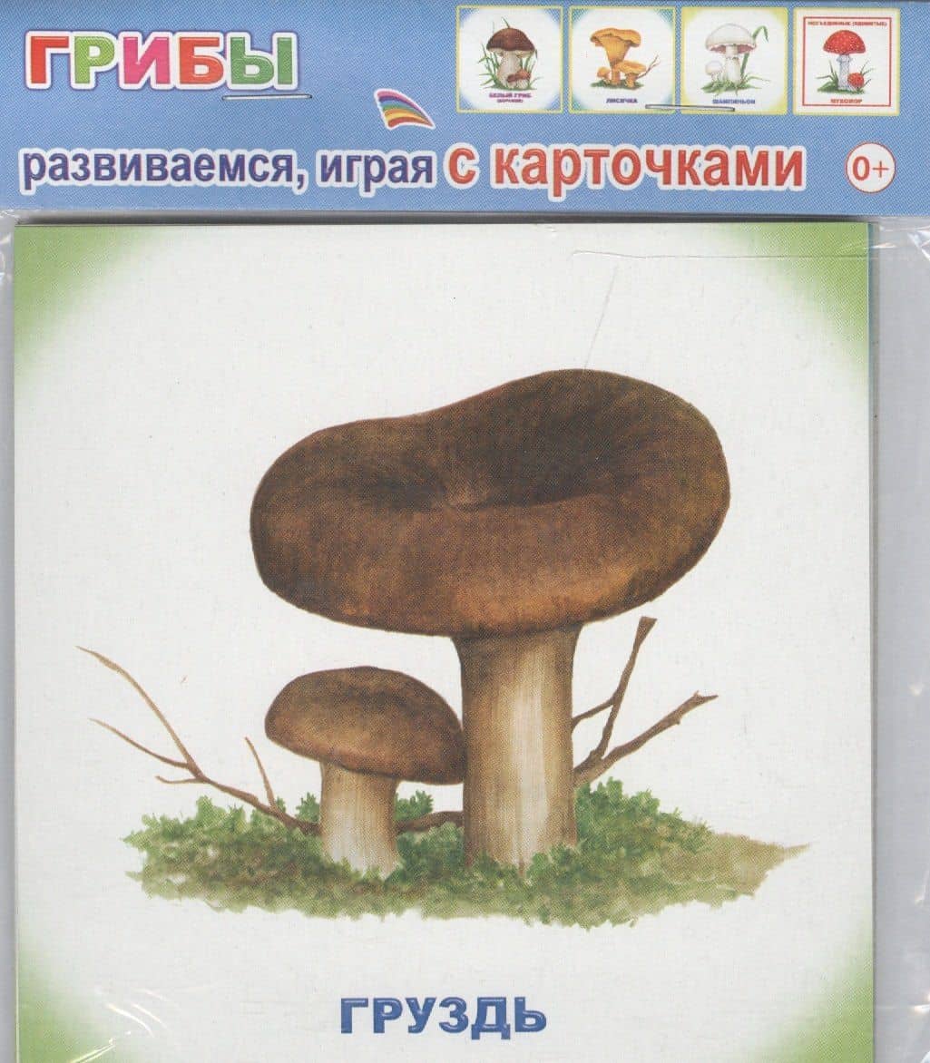 Обучающие карточки Грибы (упаковка) (978-5-91282-754-9)