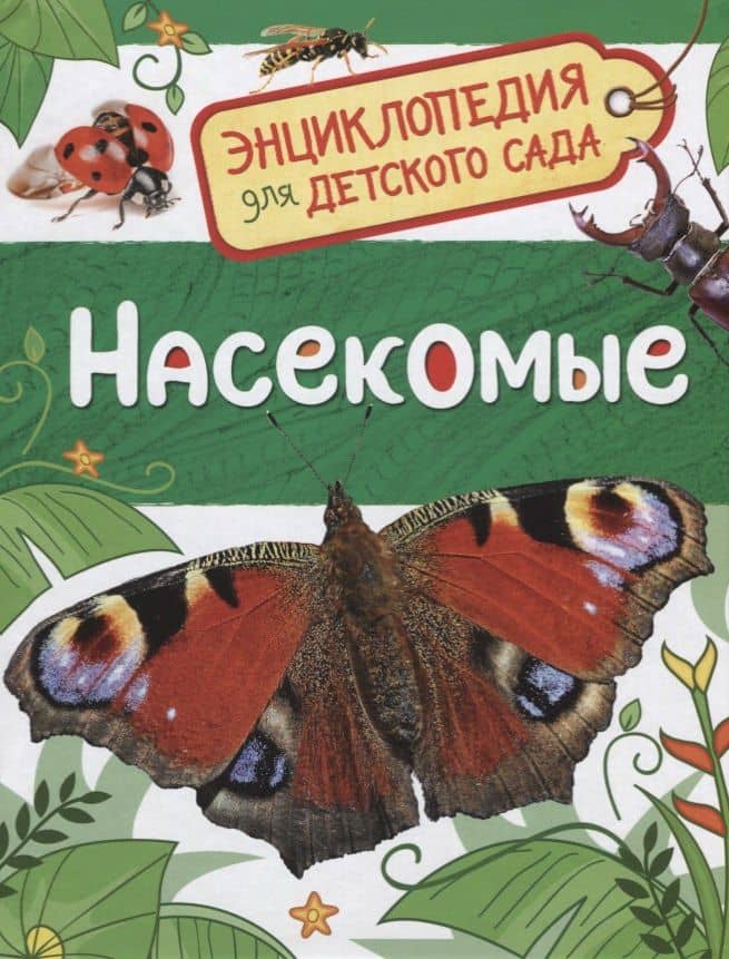 Насекомые. Энциклопедия для детского сада — Лариса Владимировна Клюшник