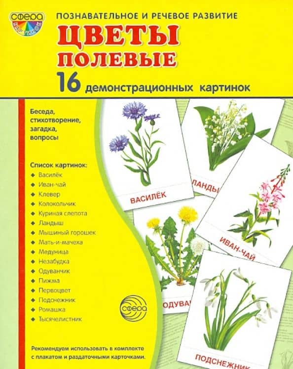 Демонстрационные картинки "Цветы полевые" (173х220 мм) — Т. В. Цветкова