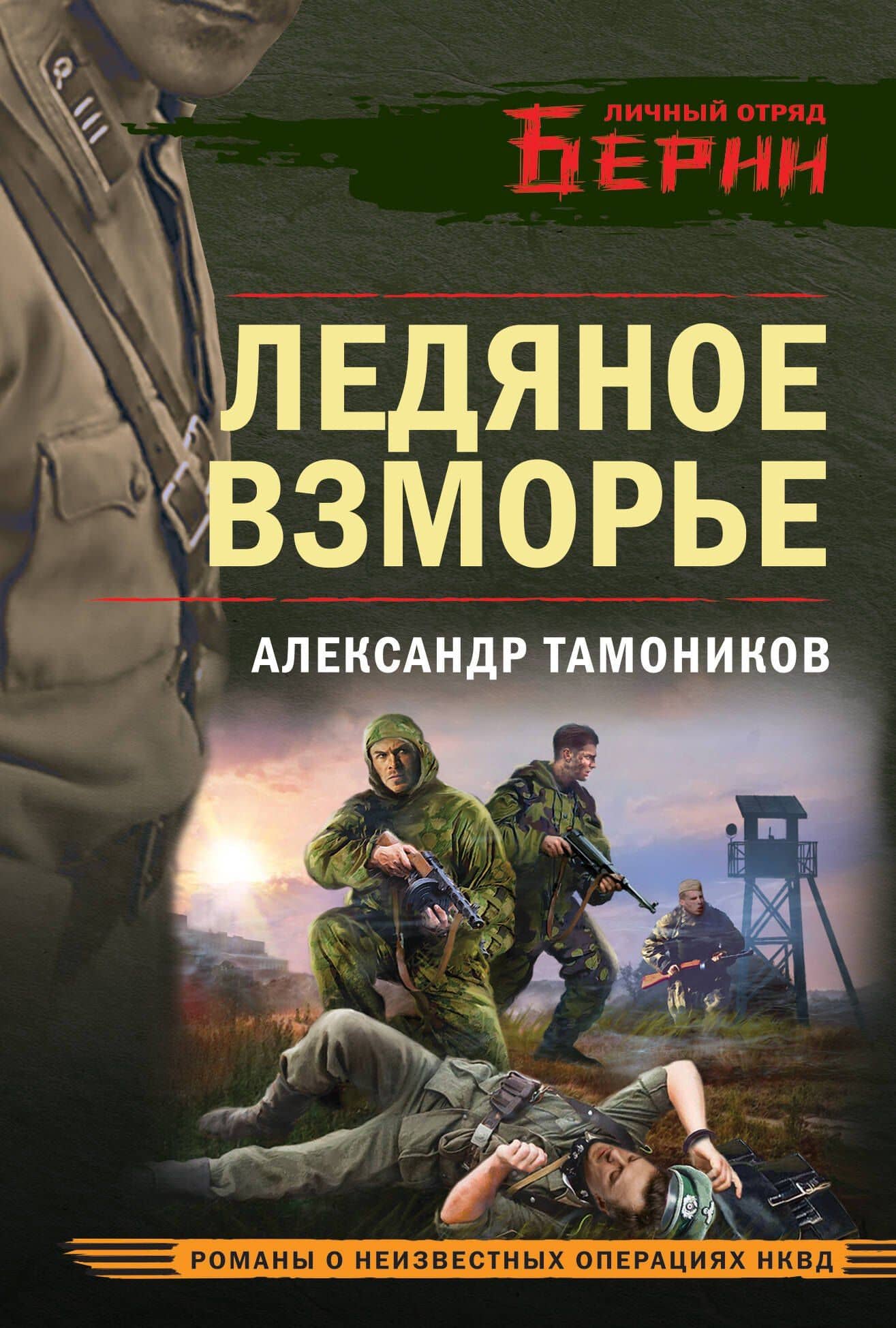 Ледяное взморье — Александр Александрович Тамоников