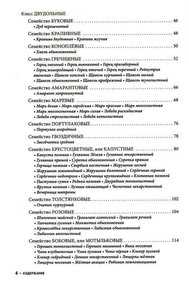 Съедобные дикорастущие растения средней полосы России. Фотоопределитель — Оксана Александровна Каращук (3)