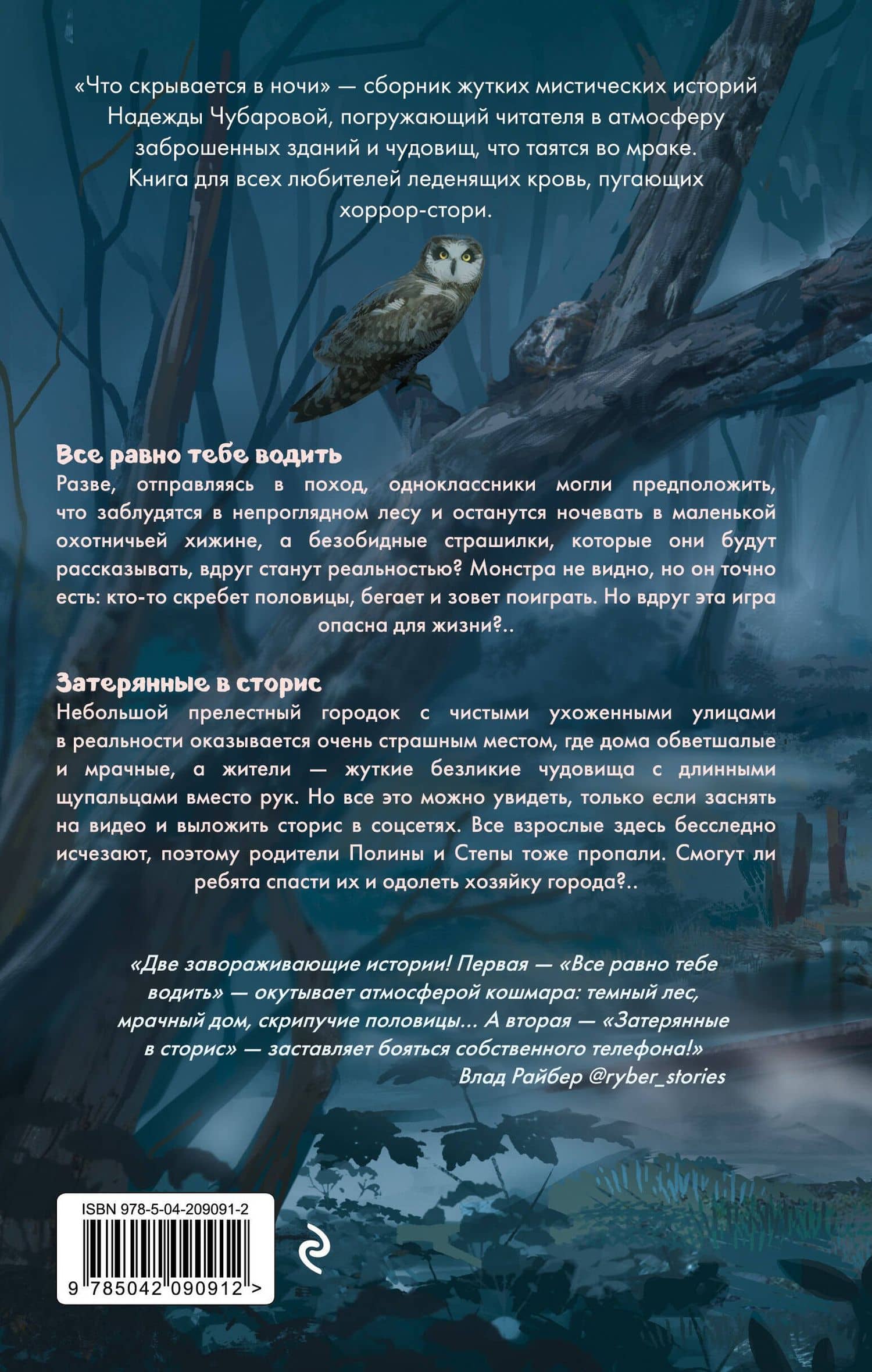 Что скрывается в ночи — Надежда Александровна Чубарова (2)