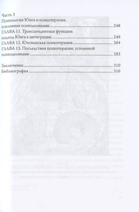 Конфронтация с бессознательным. Юнгинианская глубинная психология и психоделический опыт — Скотт Дж. Хилл (3)