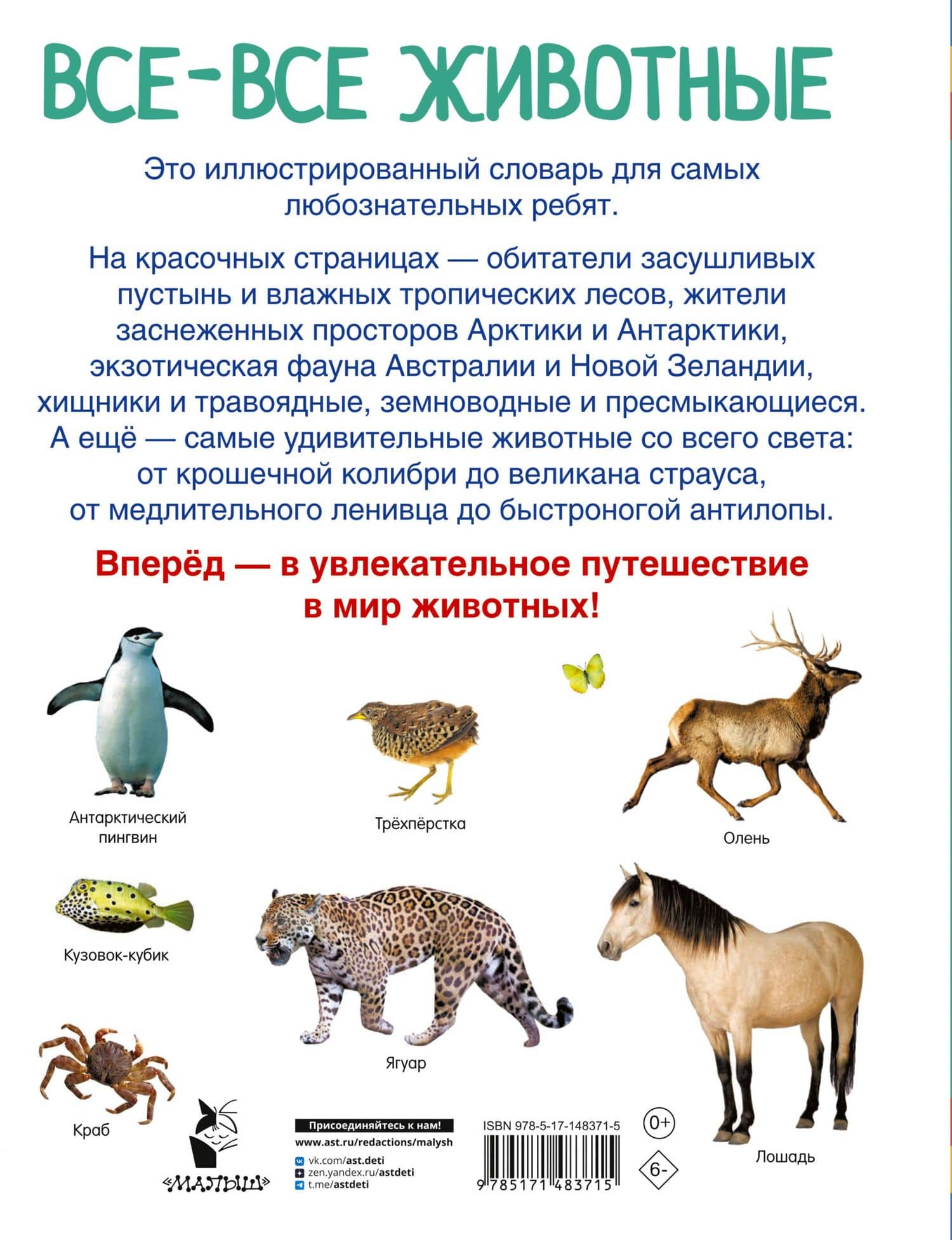 Все-все животные — Валентина Геннадьевна Дмитриева (2)